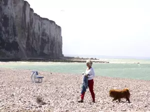 Mit Hund in die Normandie reisen
